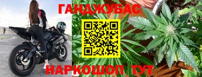 прущие грибы Тверь