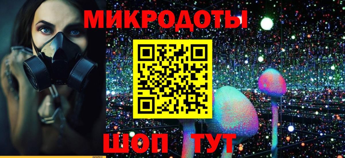 Галлюциногенные грибы Cubensis Боровичи