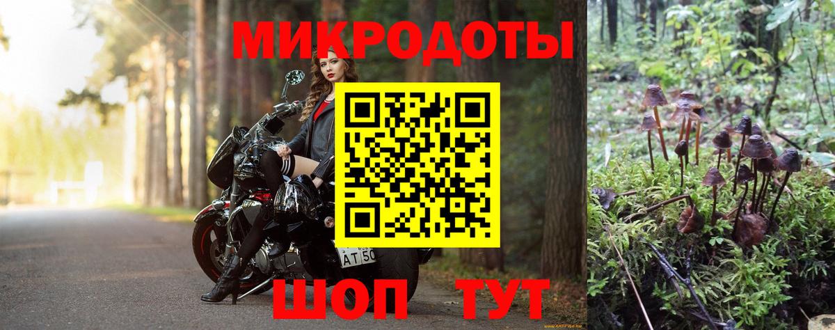 Галлюциногенные грибы прущие грибы  Вход с VPN  Боровичи 